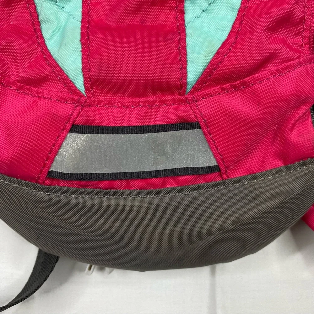 Camelbak mini mule